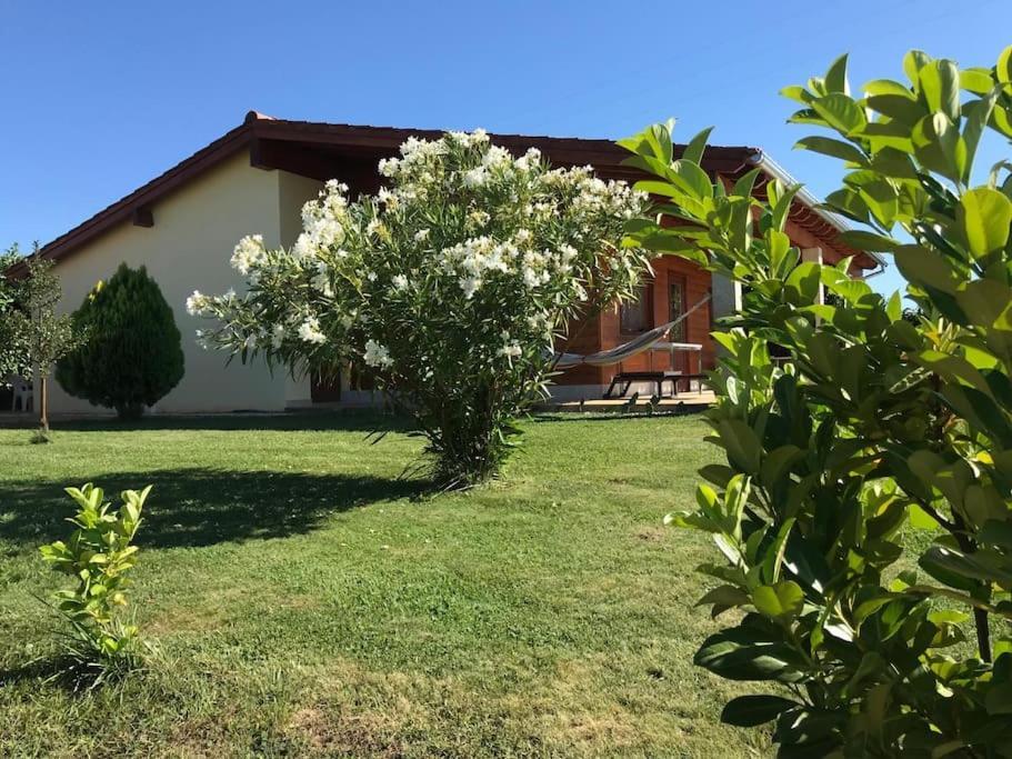 Villa Quinta Pedro E Ines Bragança Exterior foto